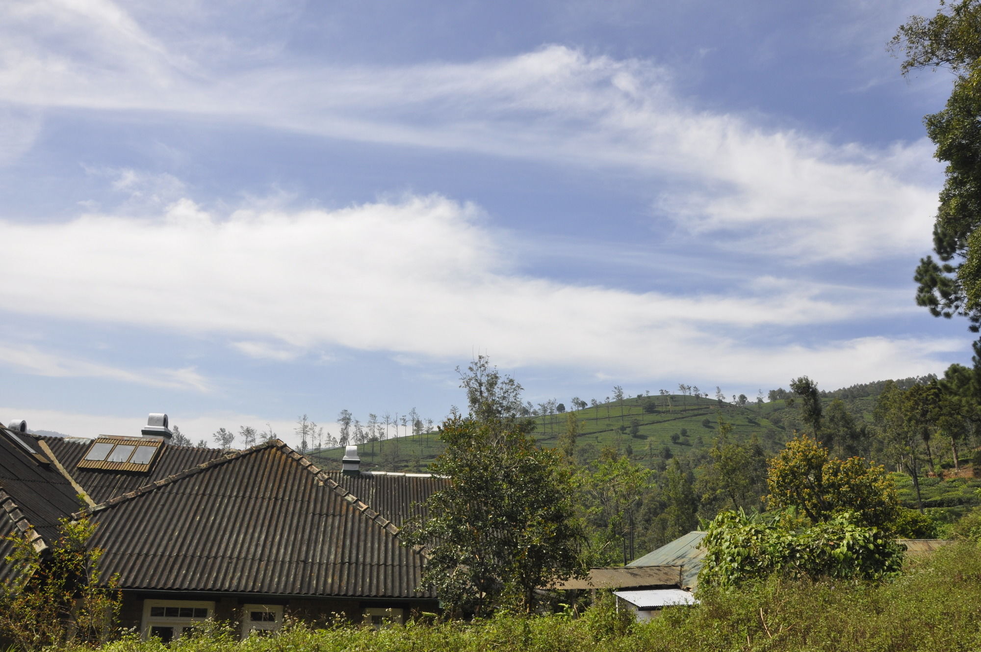 Scottish Planter Bungalow- Thema Collection Nuwara Eliya Luaran gambar